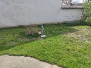 Haus in Ungarn kaufen
200 qm großes Haus mit gepflegten Garten und mehreren Nebengebäuden in einer ruhiger Seitenstraße in Südungarn